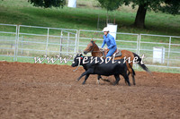 TaralgaCampdraftSat_0286