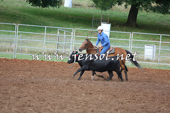 TaralgaCampdraftSat_0286