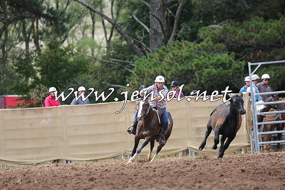 TaralgaCampdraftSat_0568