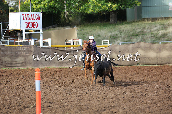 TaralgaCampdraftSat_0278