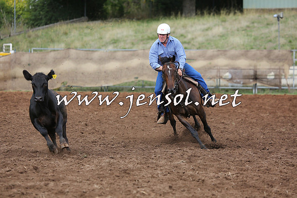 TaralgaCampdraftSat_0457