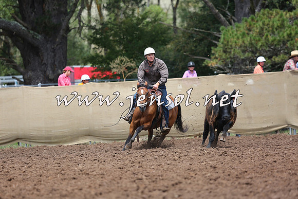 TaralgaCampdraftSat_0084