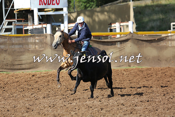TaralgaCampdraftSat_0349