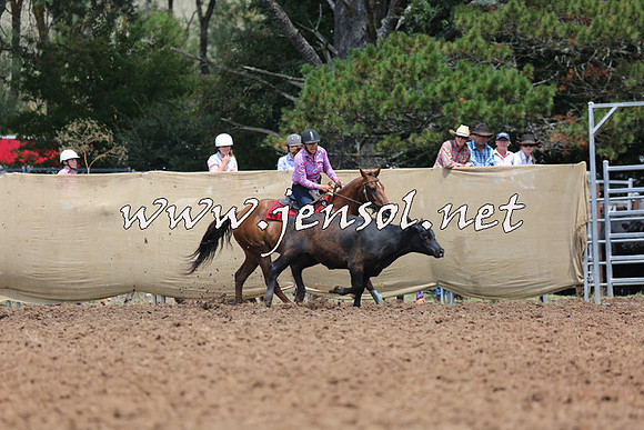 TaralgaCampdraftSat_0137