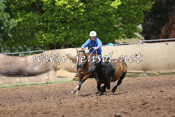 TaralgaCampdraftSat_0061