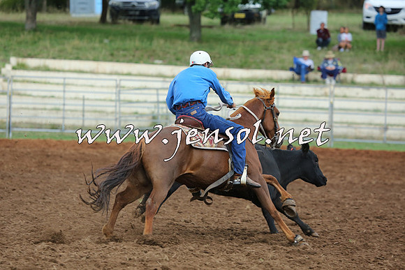 TaralgaCampdraftSat_0473