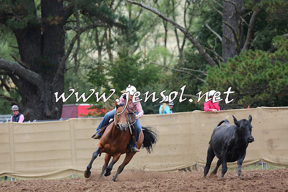 TaralgaCampdraftSat_0561
