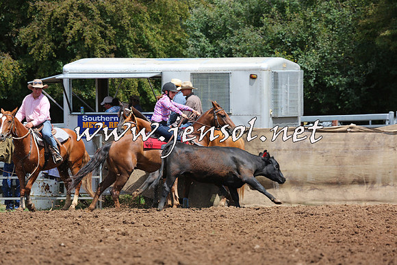 TaralgaCampdraftSat_0144