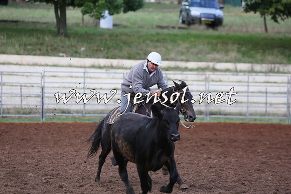 TaralgaCampdraftSat_0305