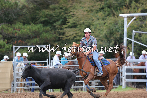TaralgaCampdraftSat_0567