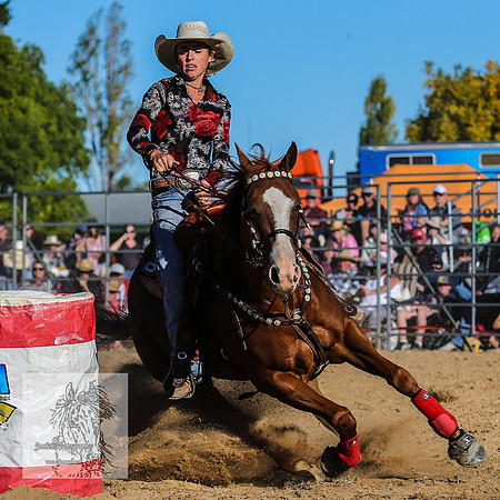 BraidwoodRodeo2015_4378