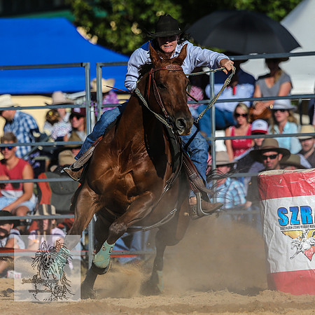 BraidwoodRodeo2015_4296