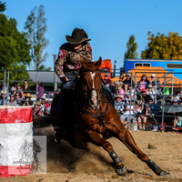 BraidwoodRodeo2015_4315