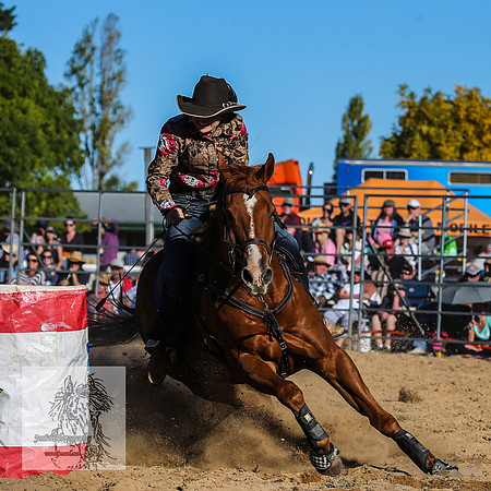 BraidwoodRodeo2015_4315