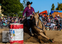 BraidwoodRodeo2015_4387