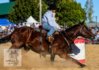 Ladies Barrels