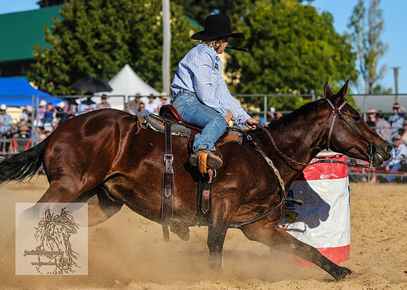 BraidwoodRodeo2015_4289