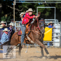 BraidwoodRodeo2015_4319