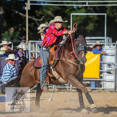 BraidwoodRodeo2015_4319