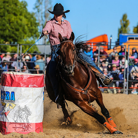BraidwoodRodeo2015_4482