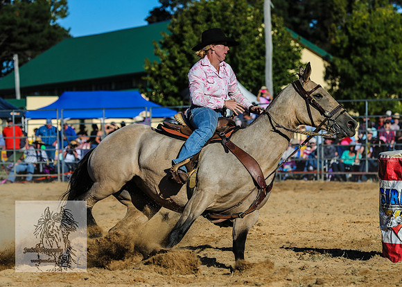 BraidwoodRodeo2015_4439