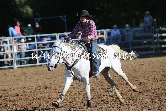 Taralga2015_6062