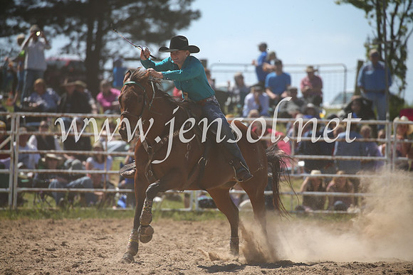 BungendoreRodeo2016-3337