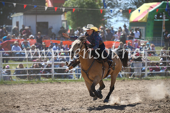 BungendoreRodeo2016-3118