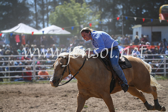 BungendoreRodeo2016-3052