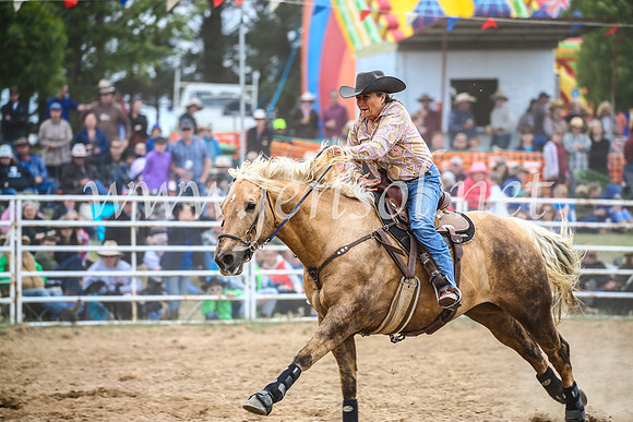 BungendoreRodeo2017_2995