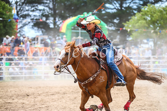 BungendoreRodeo2017_3070
