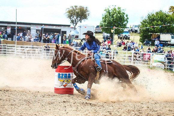 BungendoreRodeo2017_3072