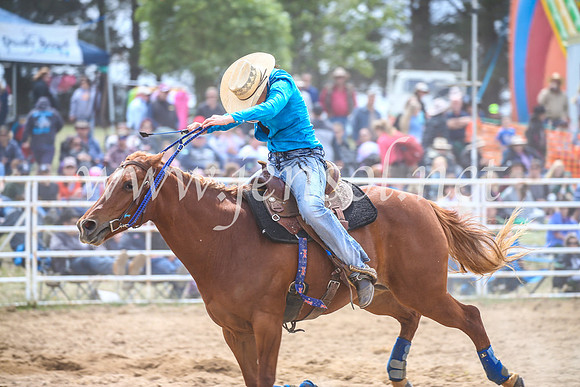BungendoreRodeo2017_3608