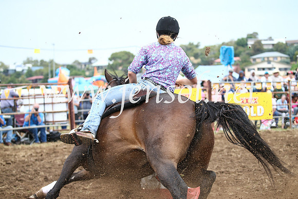 JindabyneRodeo2016-2333