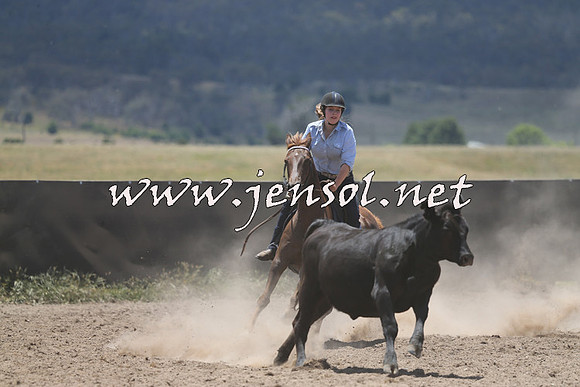 AdaminabyCampdraft2014_0202