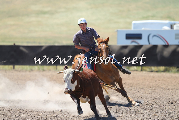 AdaminabyCampdraft2014_0908