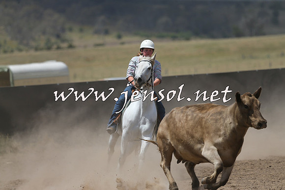 AdaminabyCampdraft2014_0494