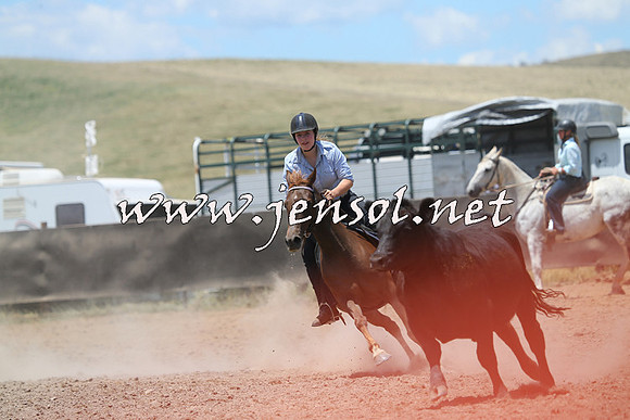 AdaminabyCampdraft2014_0206