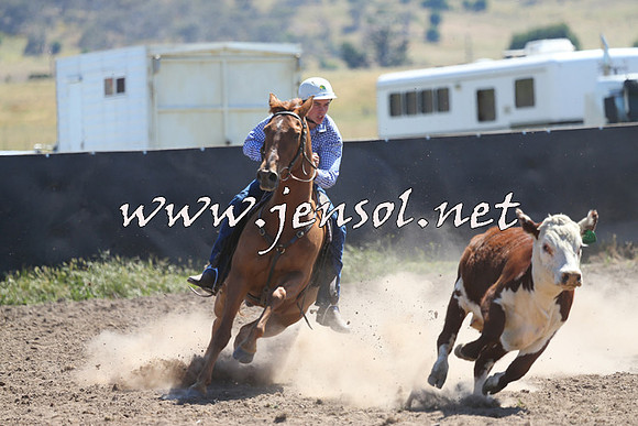 AdaminabyCampdraft2014_0862
