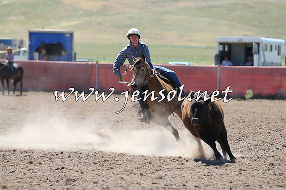 AdaminabyCampdraft2014_0894