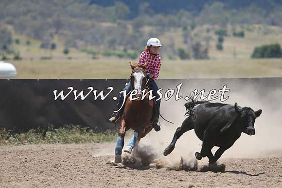 AdaminabyCampdraft2014_0154