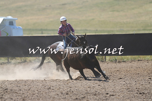 AdaminabyCampdraft2014_0877