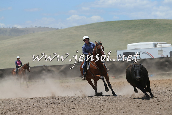 AdaminabyCampdraft2014_0182