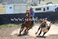 AdaminabyCampdraft2014_0860