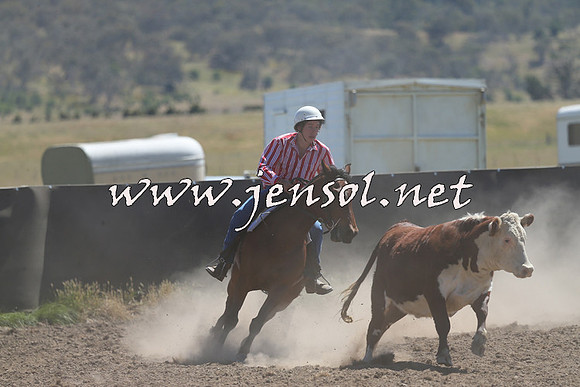 AdaminabyCampdraft2014_0913