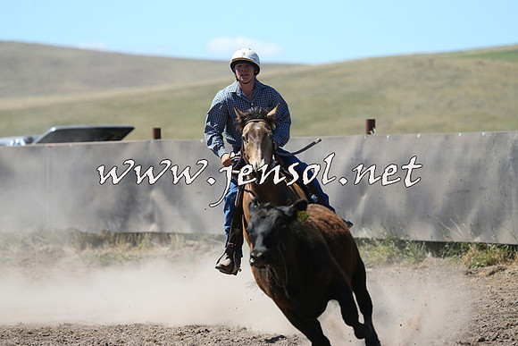 AdaminabyCampdraft2014_0902