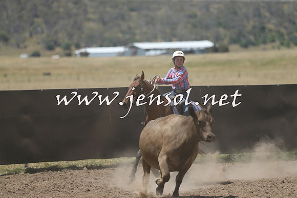 AdaminabyCampdraft2014_0499