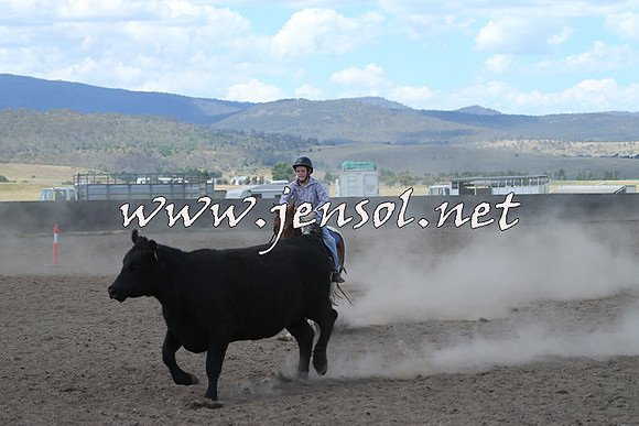 AdaminabyCampdraft2014_0502