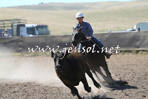 AdaminabyCampdraft2014_0833