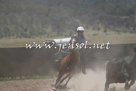 AdaminabyCampdraft2014_0179